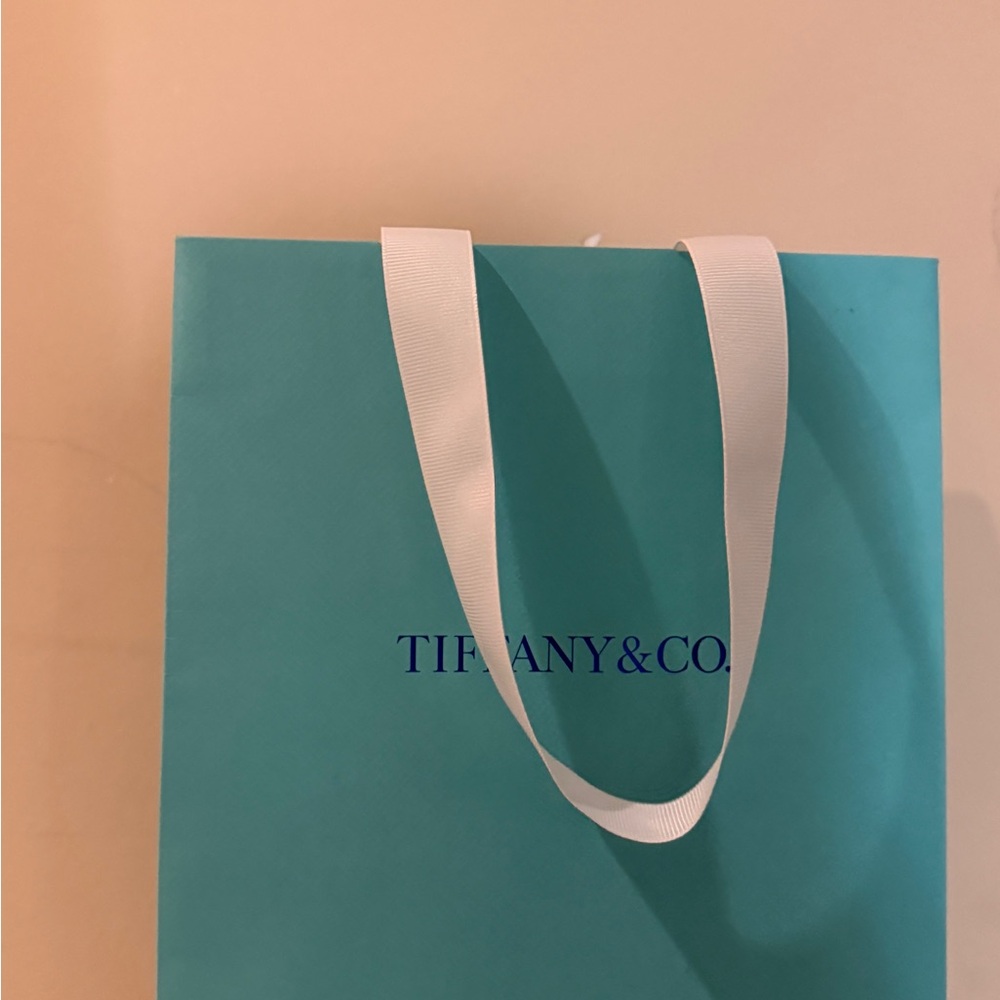 Tiffany & Co. Turquoise Bag with White Handles
